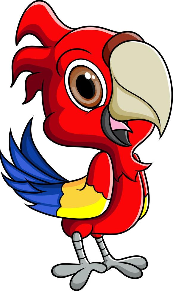 The baby parrot is standing and has big eyes vector