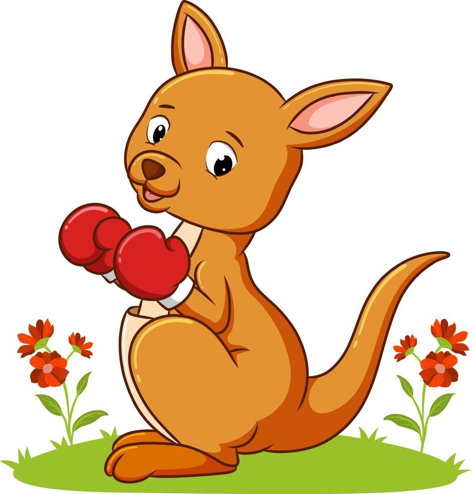 The boxing kangaroo is using the boxing gloves vector