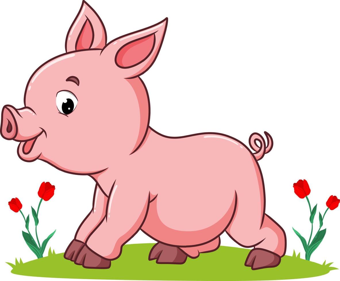 The pig is playing the garden vector