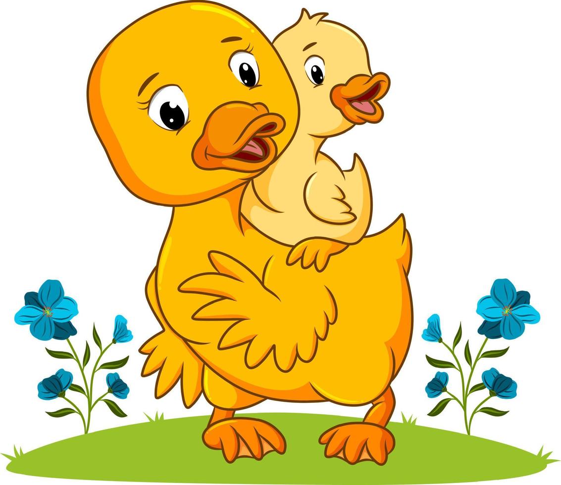 The mother duck is playing with the duck vector