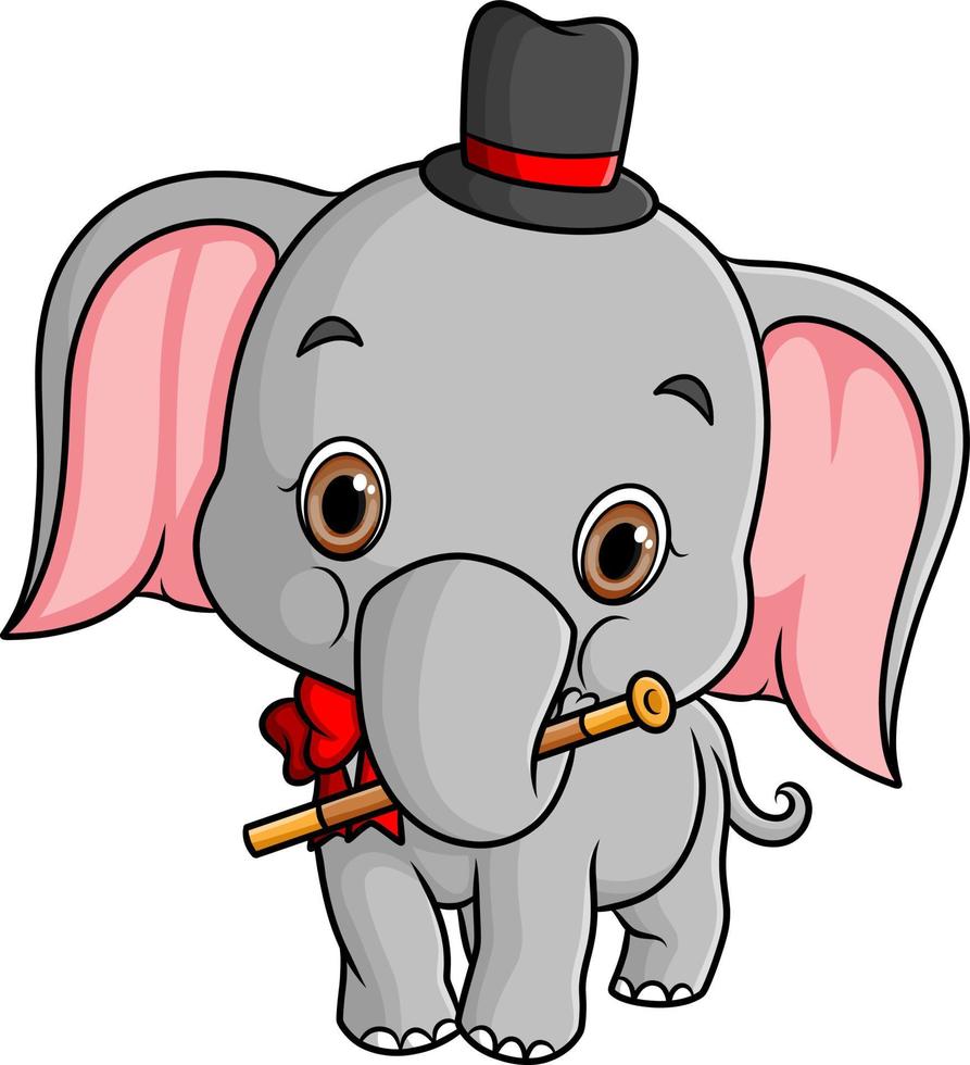 The baby elephant is doing the circus and wearing cap vector