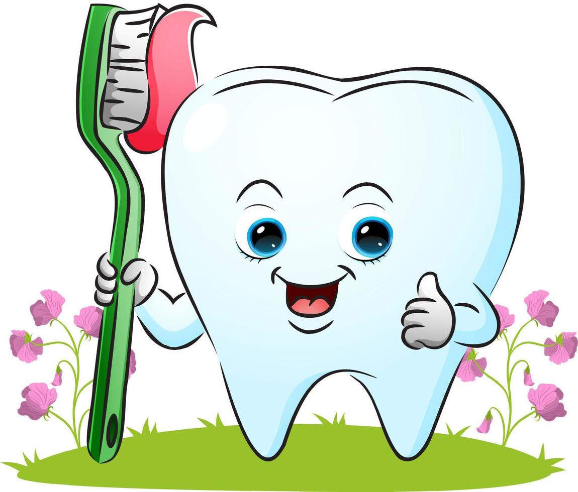el diente sostiene el cepillo de dientes con la pasta de dientes vector