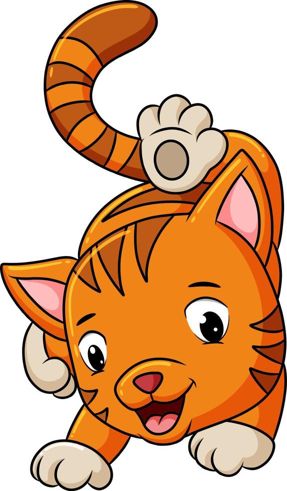 The playful cat is posing a good style vector