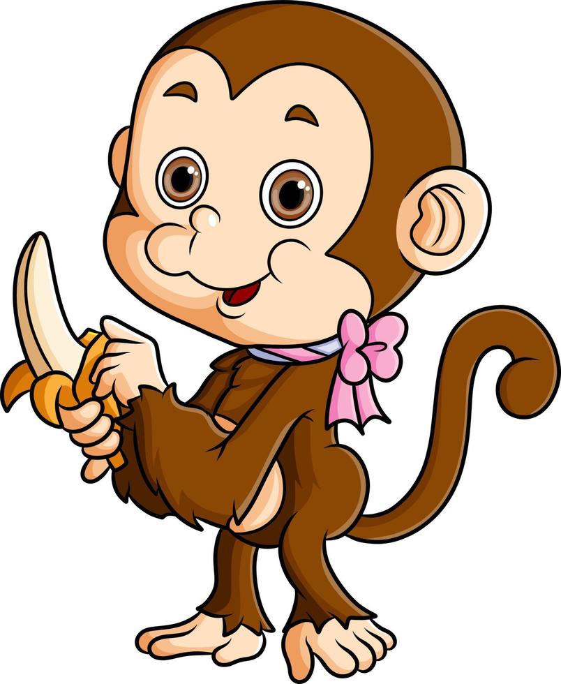The little monkey is peeling a banana on its hand vector