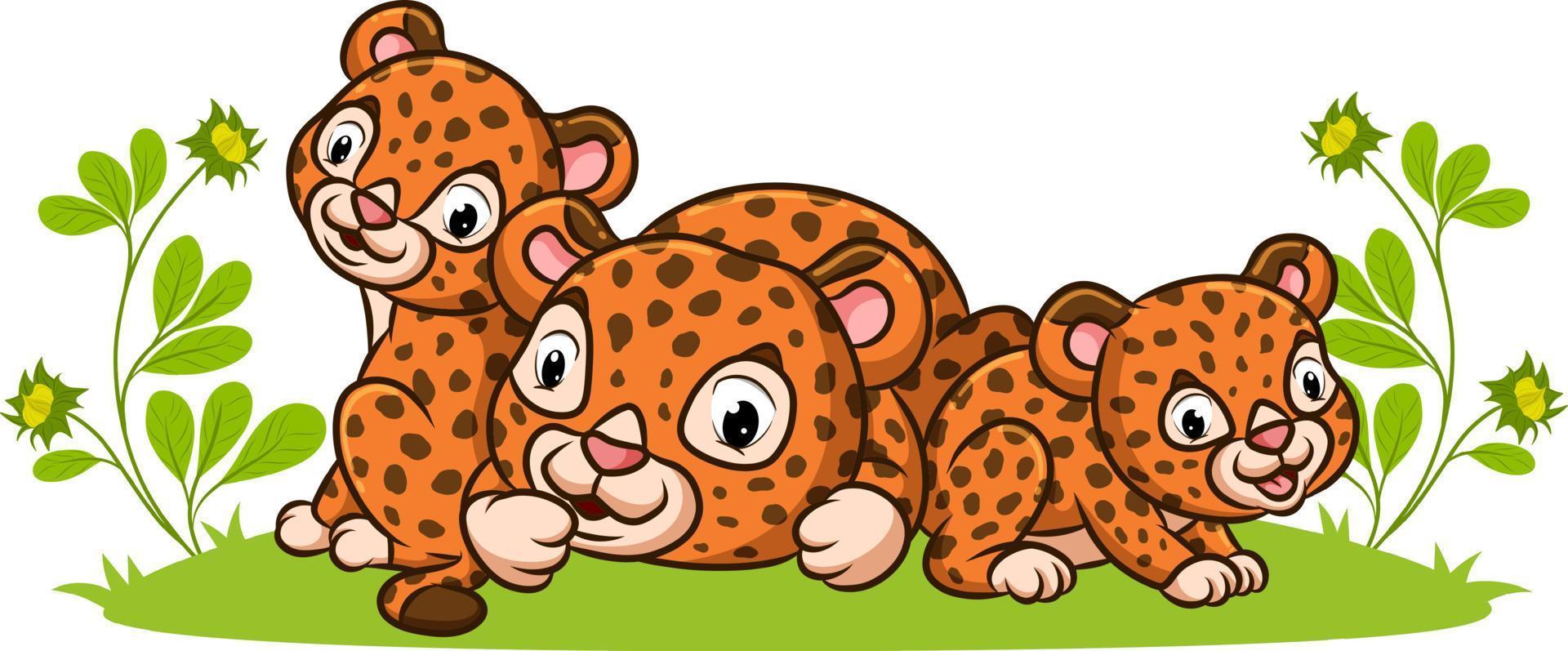 The three leopards are playing together in the garden full of the flowers vector