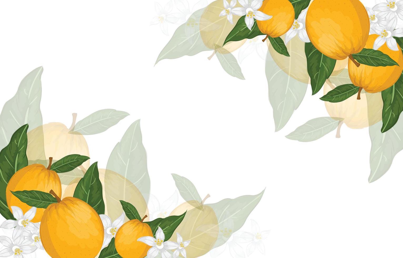 fondo floral de fruta naranja vector