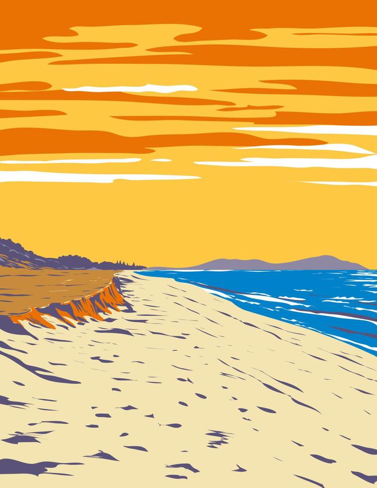 booti booti national park con la playa de siete millas en forster y tuncurry, nueva gales del sur, australia, wpa poster art vector