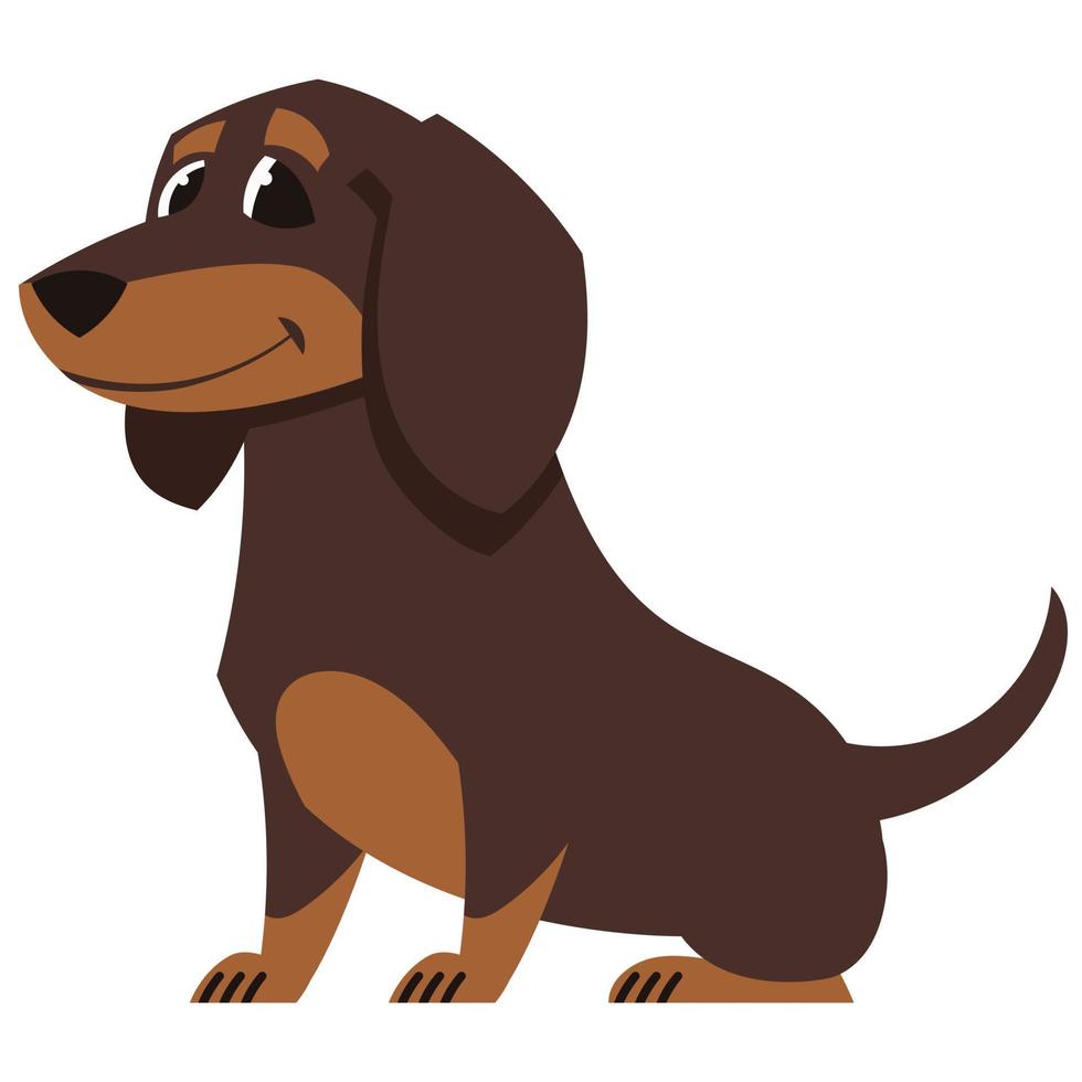Sitting Dachshund dog. Cute pet in cartoon style. vector
