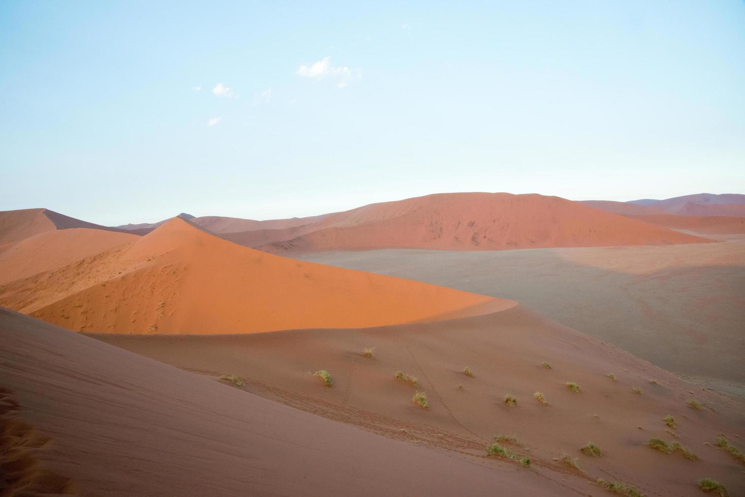 View from a dune in the Namib desert. Beautiful morning light, no people. Namibia photo
