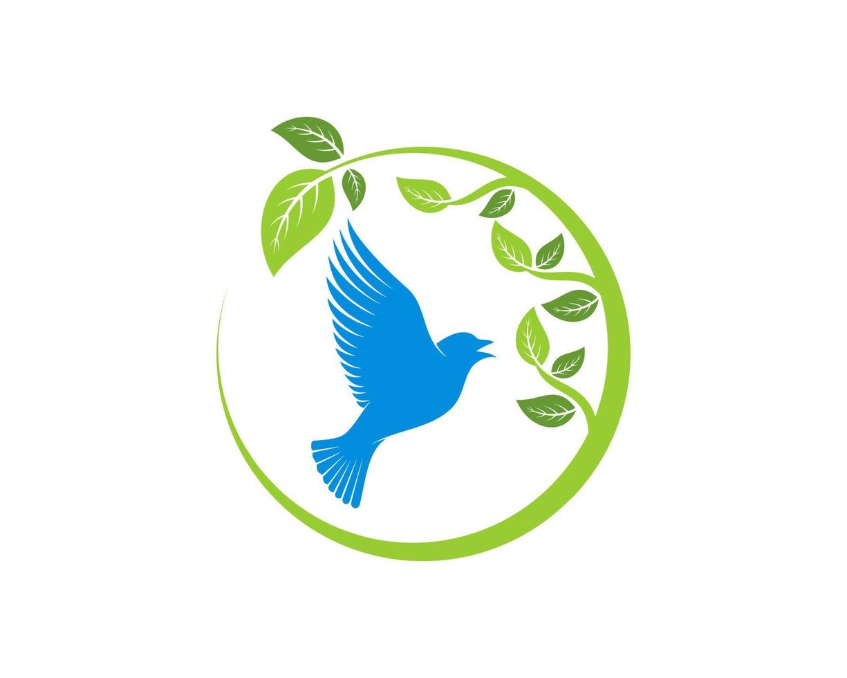 Circle swoosh with nature leaf and flying bird vector