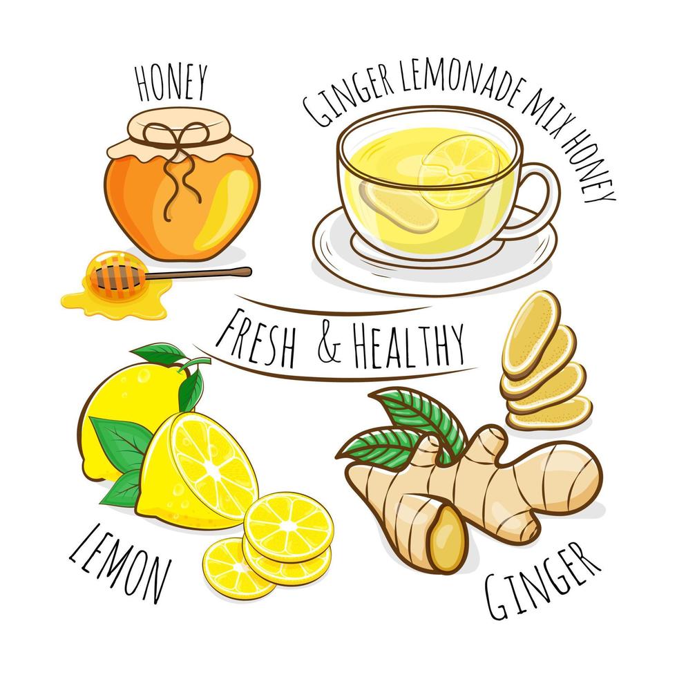 Cup of ginger with lemonade tea mix honey, ginger, lemon, honey, vector