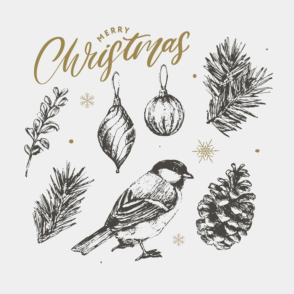 navidad, bosquejo, vector, acebo, baya, árbol de navidad, pino, hojas, ramas, decoración navideña, invierno, símbolos, vendimia, naturaleza, ilustración vector