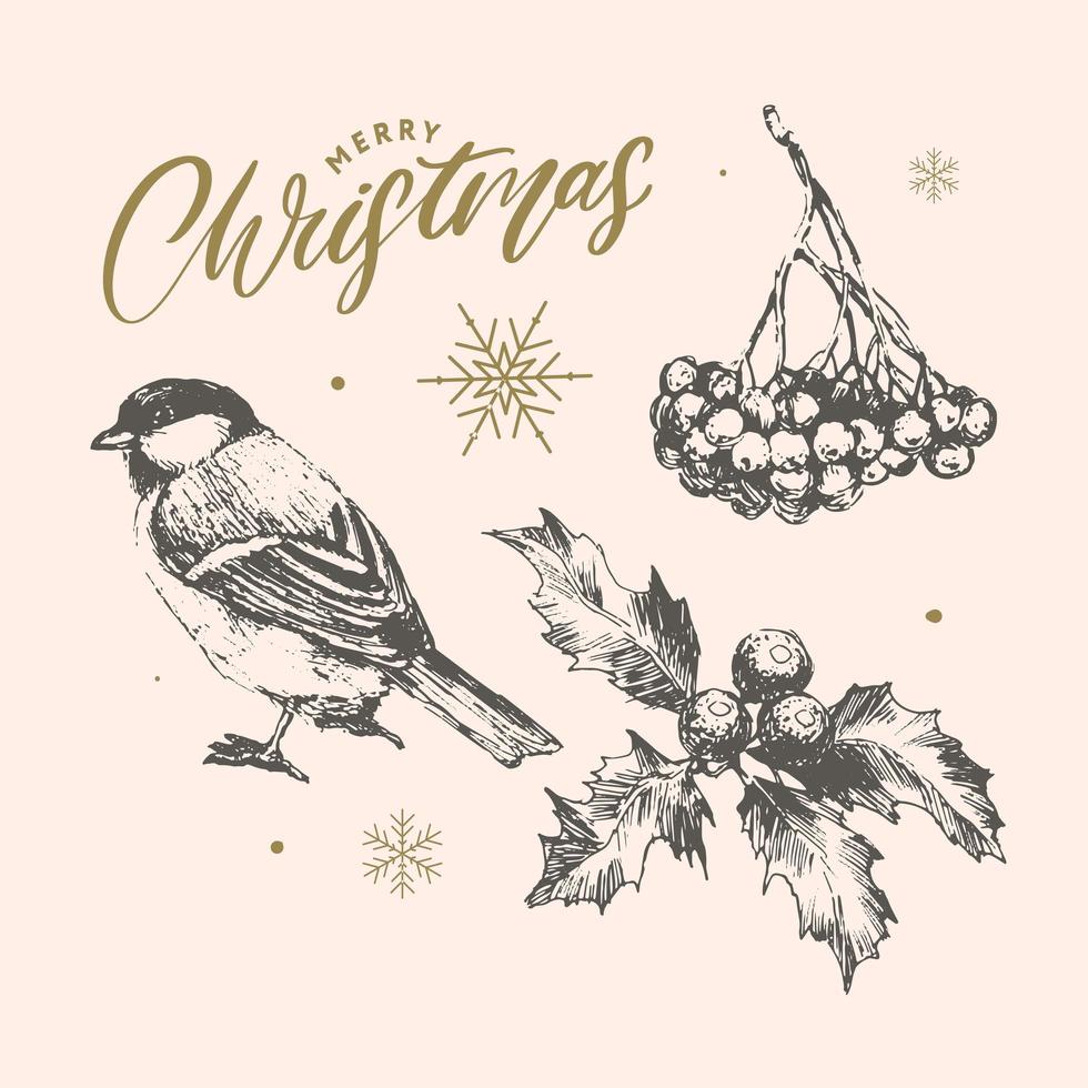 Christmas sketch vector holly berry, christmas tree, pine, leaves branches, holiday decoration, winter symbols Vintage nature illustration