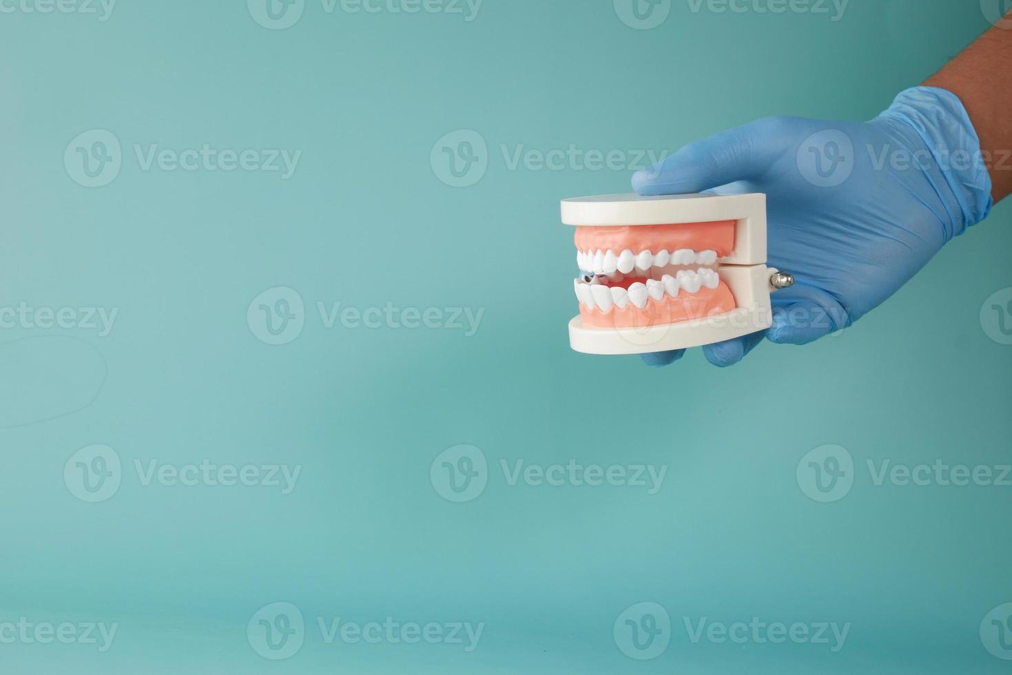 Doctor mano sujetando el modelo de dientes dentales de plástico en la mesa foto