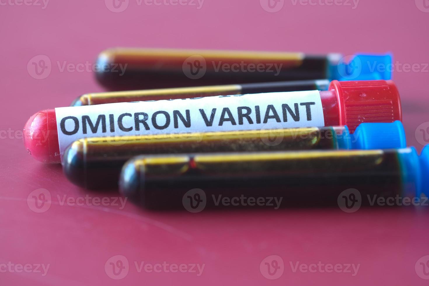 omicron variant corona virus blood test tube on red background photo