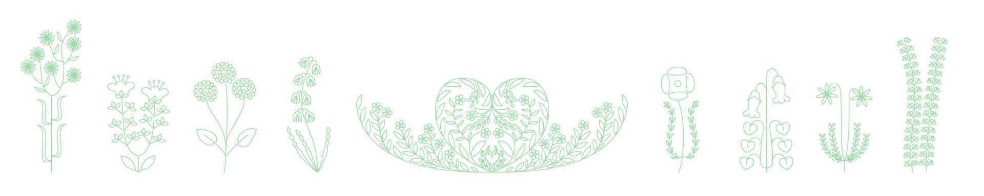 Blossom flower Set on white isolated background via Botanical illustration and Decorative floral object in line art vector