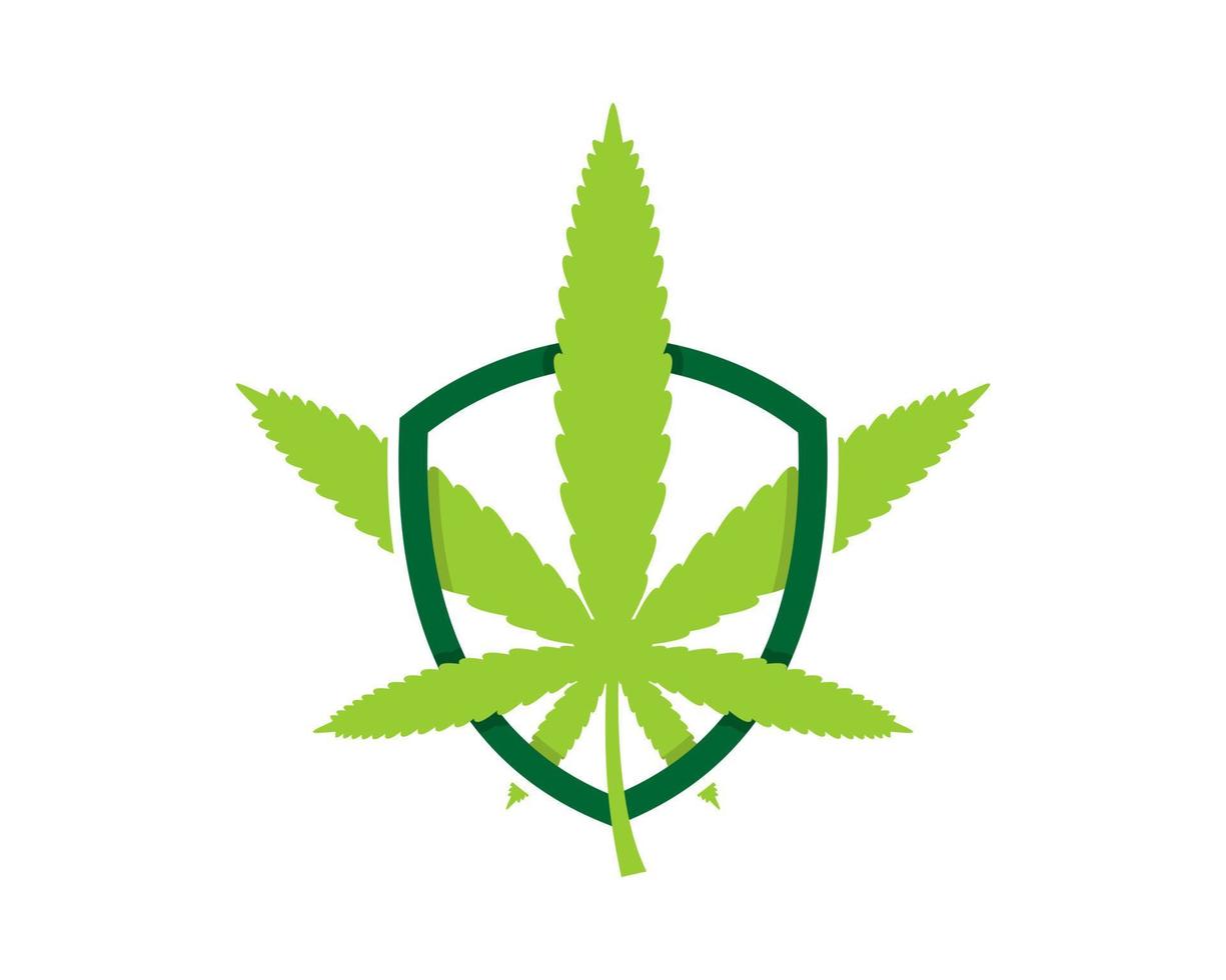 Cannabis leaf inside the shield protection vector