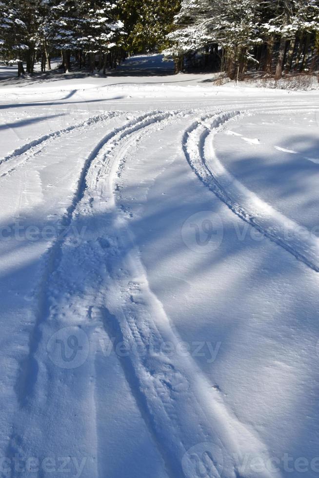 Tire tracks in the snow photo