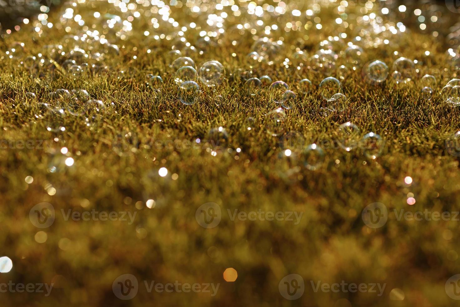 soap bubbles on the grass. selective focus. photo