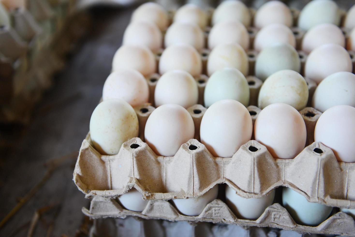 huevos frescos caja de huevos de pato blanco: produzca huevos frescos de la granja orgánicos foto
