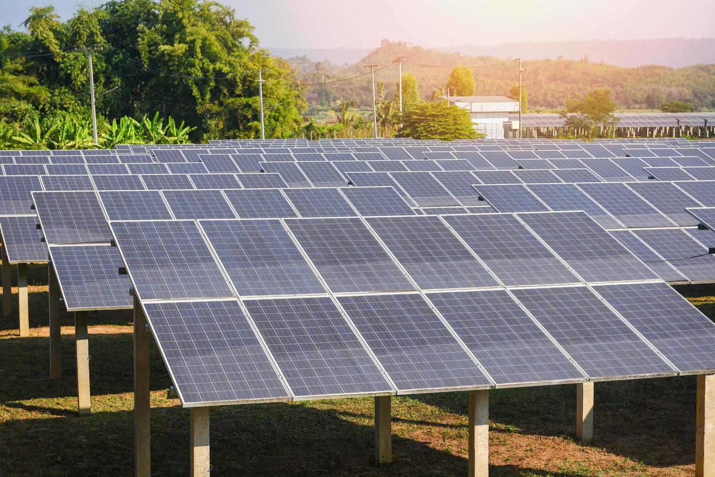 View of solar panels in the solar farm with green tree and sun lighting reflect solar cell energy or renewable energy photo