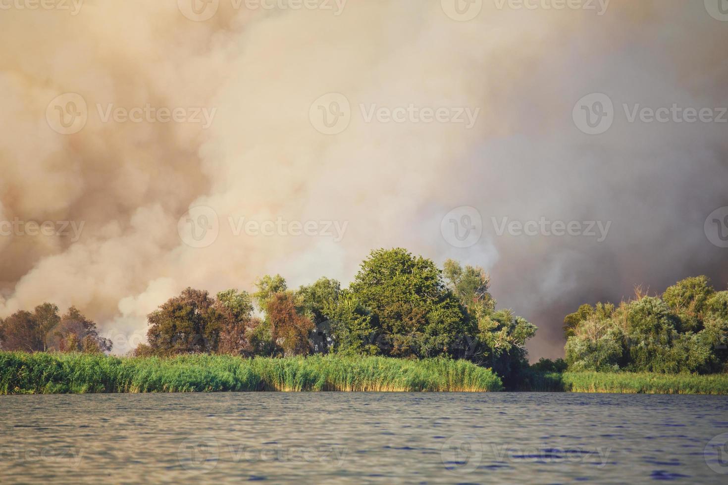 grandes nubes de humo, fuego en la naturaleza. foto