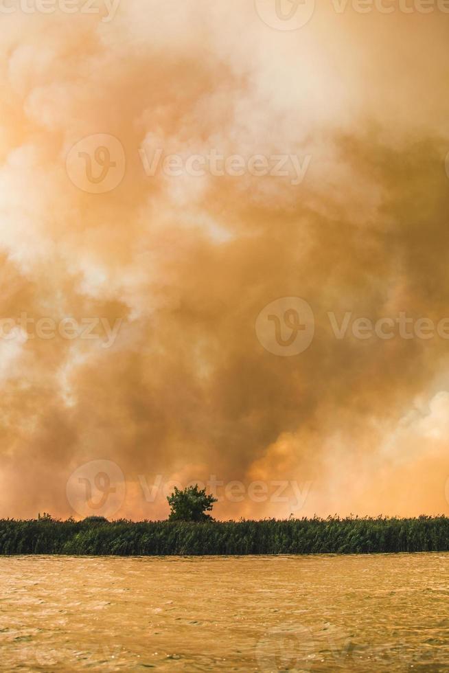 grandes nubes de humo, fuego en la naturaleza. foto