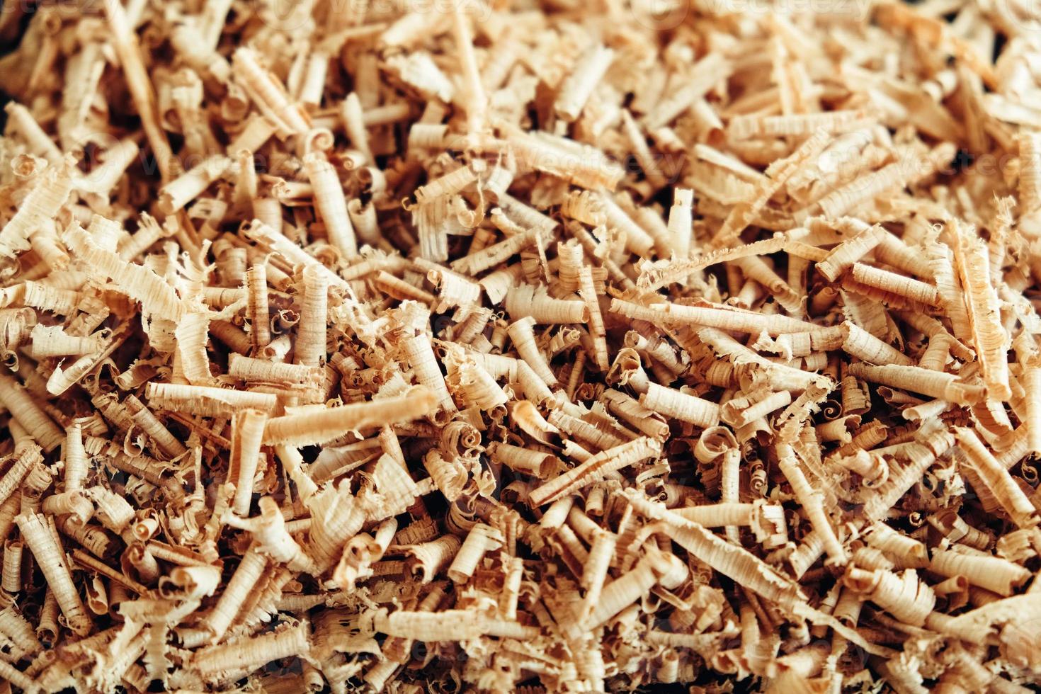 Texture of wood shavings as a background image. Background of fresh wood shavings. Copy, empty space for text photo