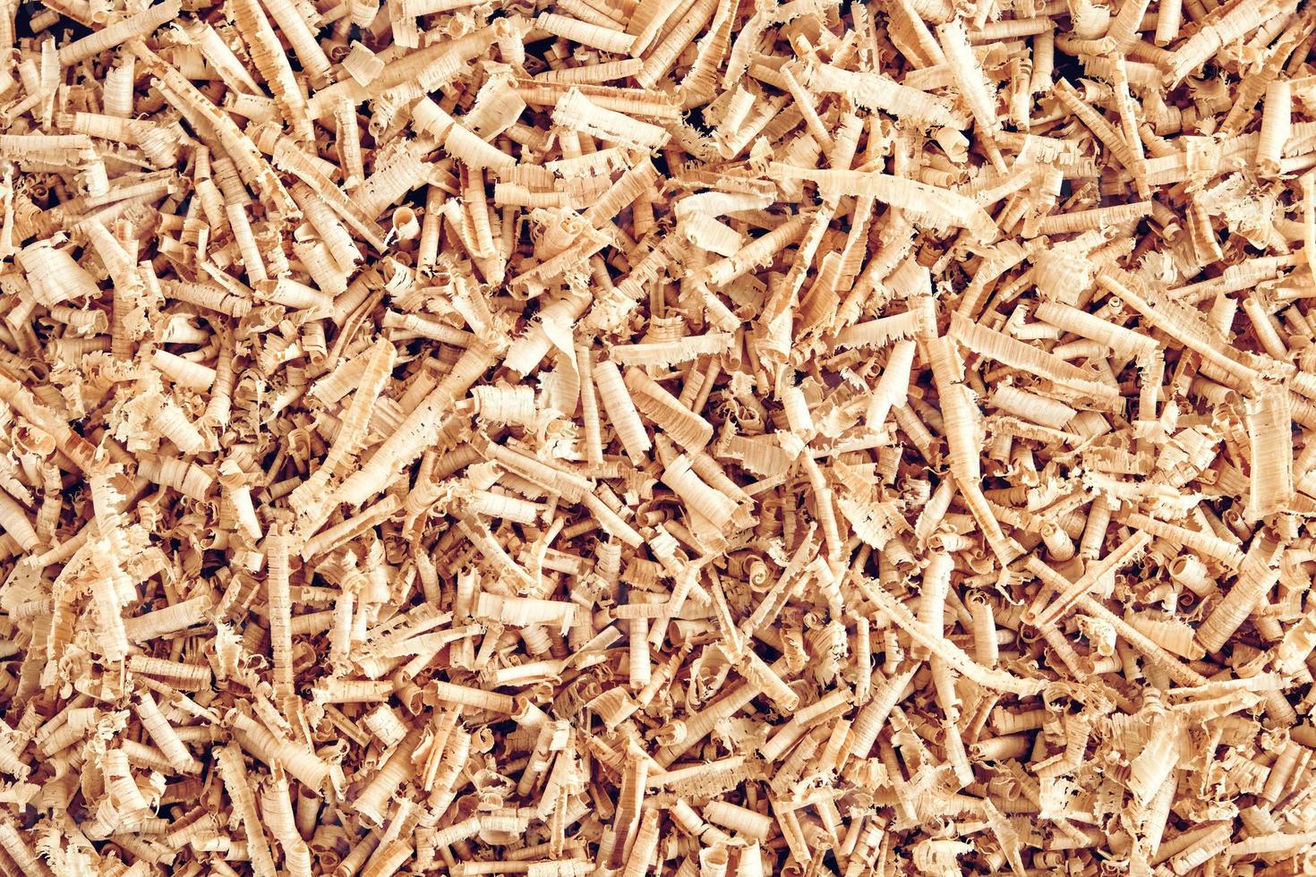 Texture of wood shavings as a background image. Background of fresh wood shavings. Copy, empty space for text photo