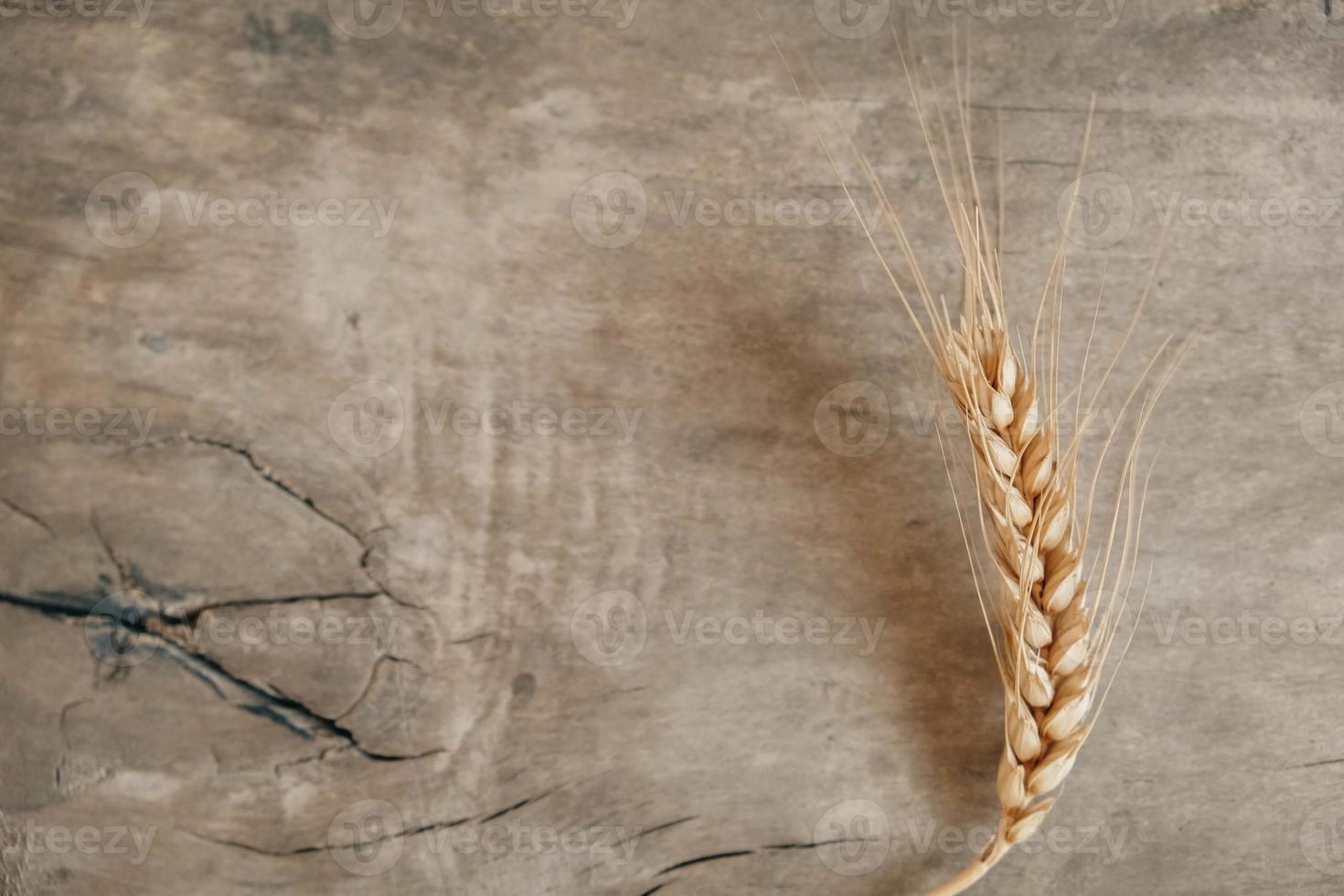 Wheat ears on wooden background photo