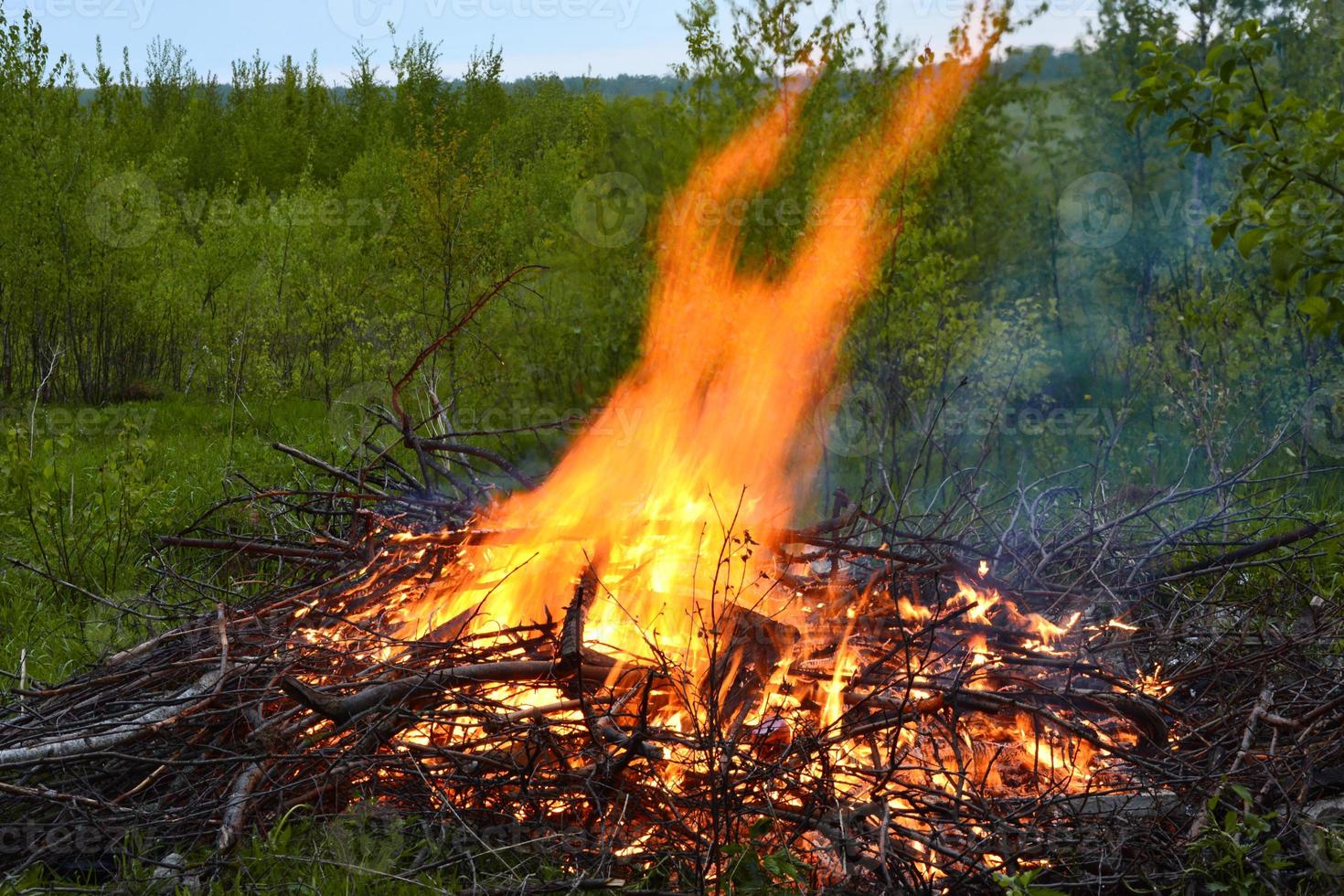 hoguera. una hoguera arde en el bosque. llama de fuego. foto