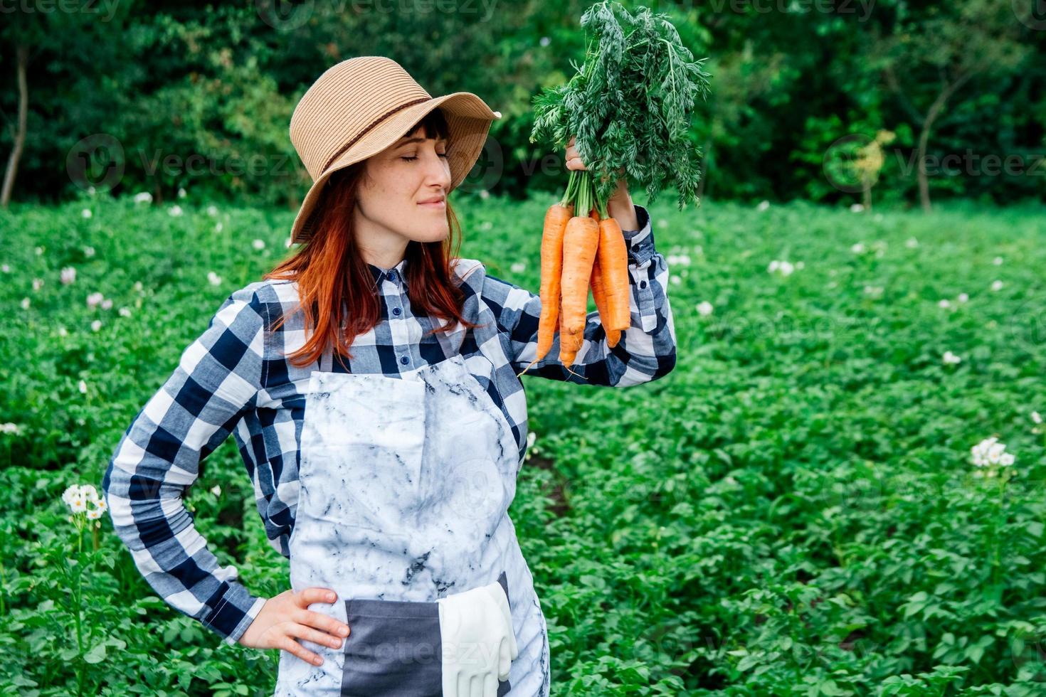 Woman farmer holds a bunch of carrots on background of a vegetable garden photo
