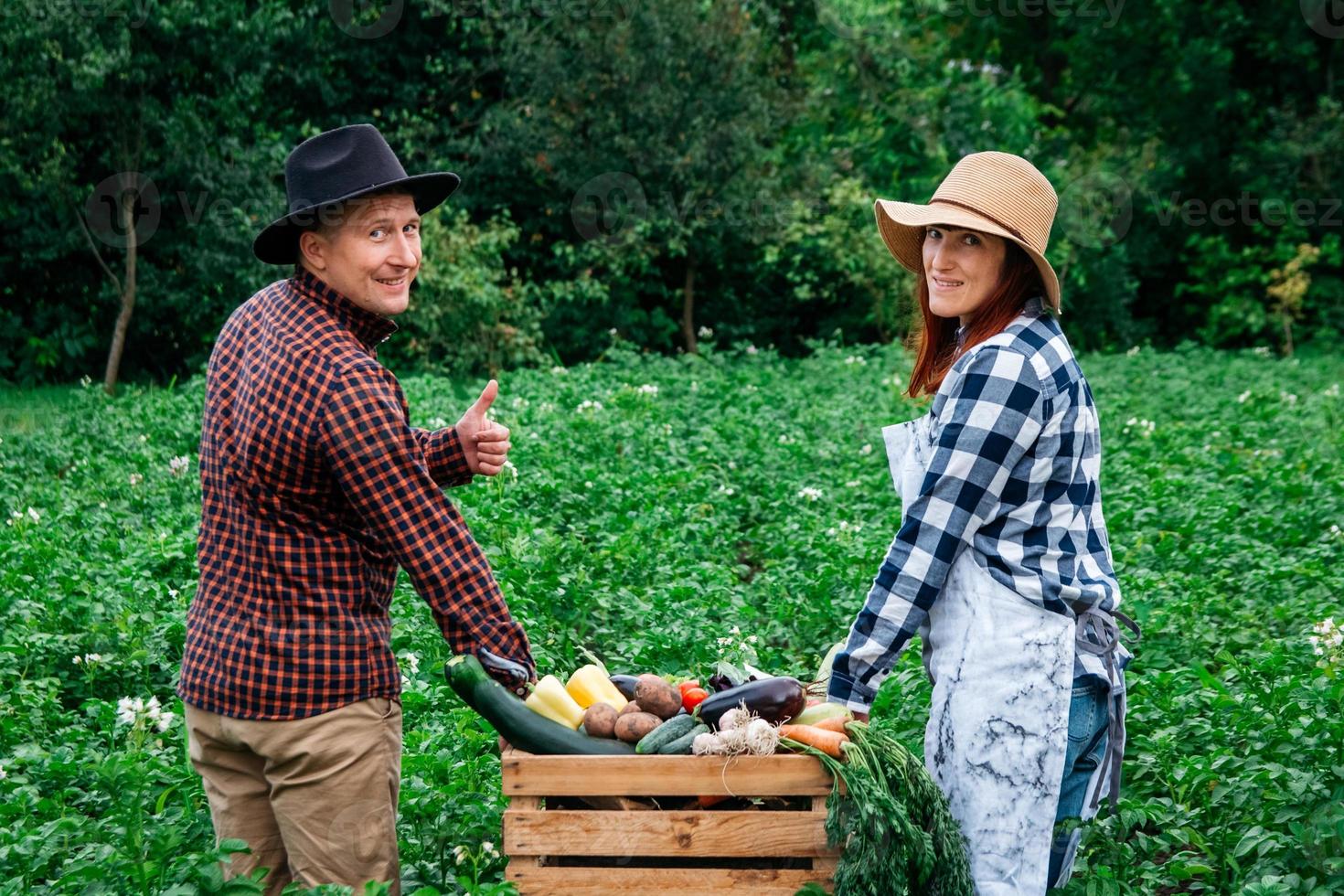 El hombre y la mujer agricultores en sombreros sosteniendo verduras orgánicas frescas en una caja de madera en el fondo de un huerto foto