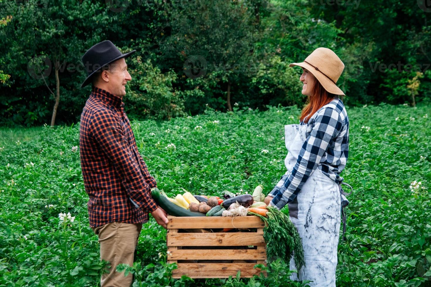 El hombre y la mujer agricultores en sombreros sosteniendo verduras orgánicas frescas en una caja de madera en el fondo de un huerto foto