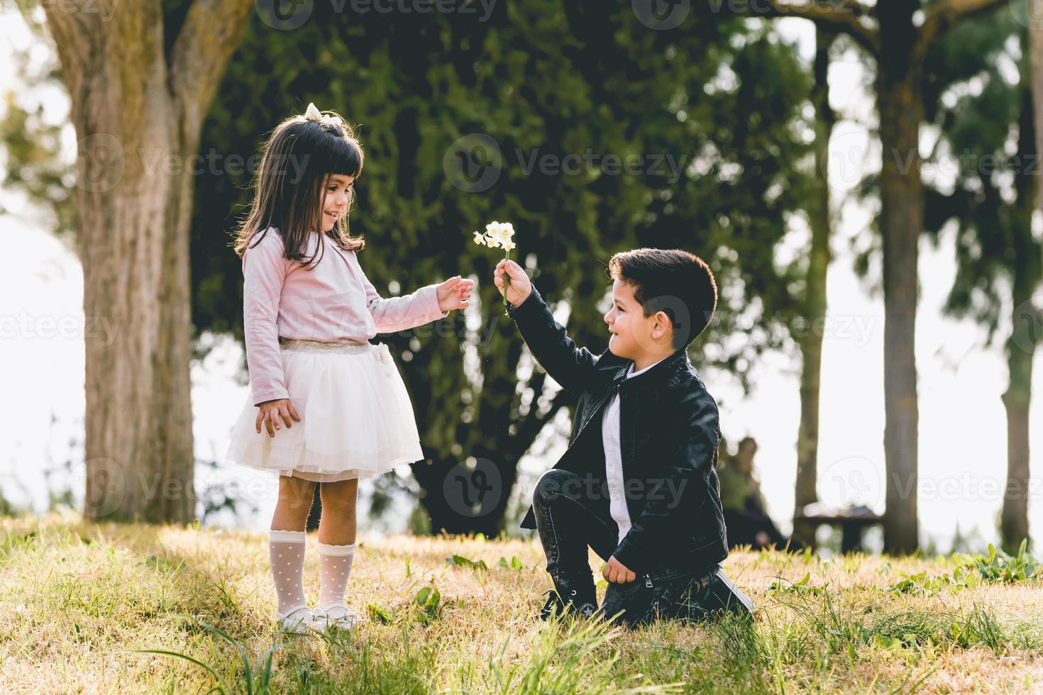 Kneeling boy Proposing with a flower - Boy proposing marriage with ...