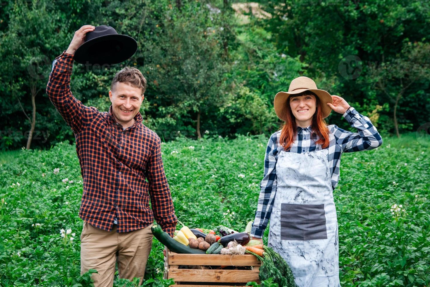 El hombre y la mujer agricultores en sombreros sosteniendo verduras orgánicas frescas en una caja de madera en el fondo de un huerto foto