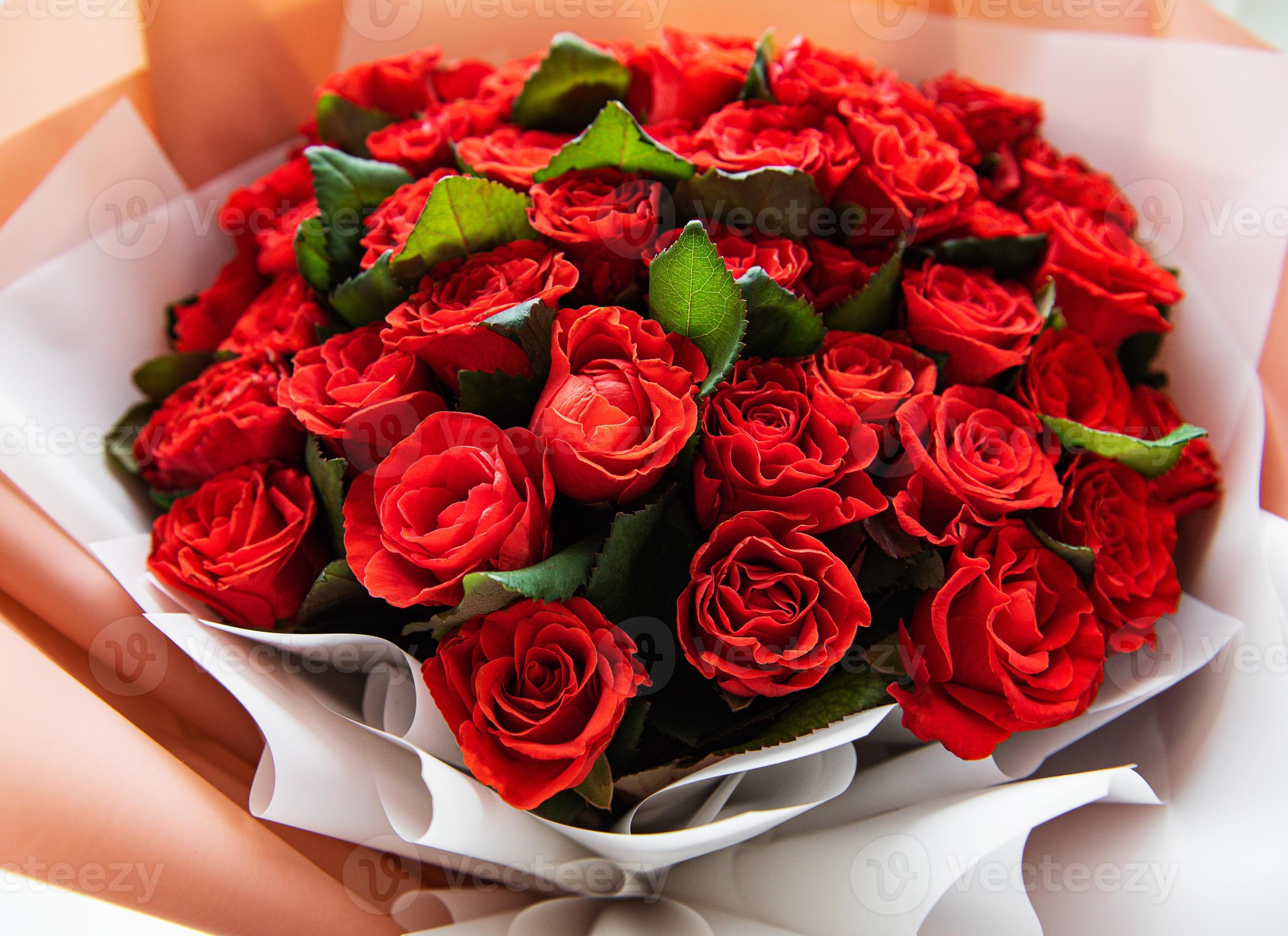 hermosas rosas rojas 4954489 Foto de stock en Vecteezy