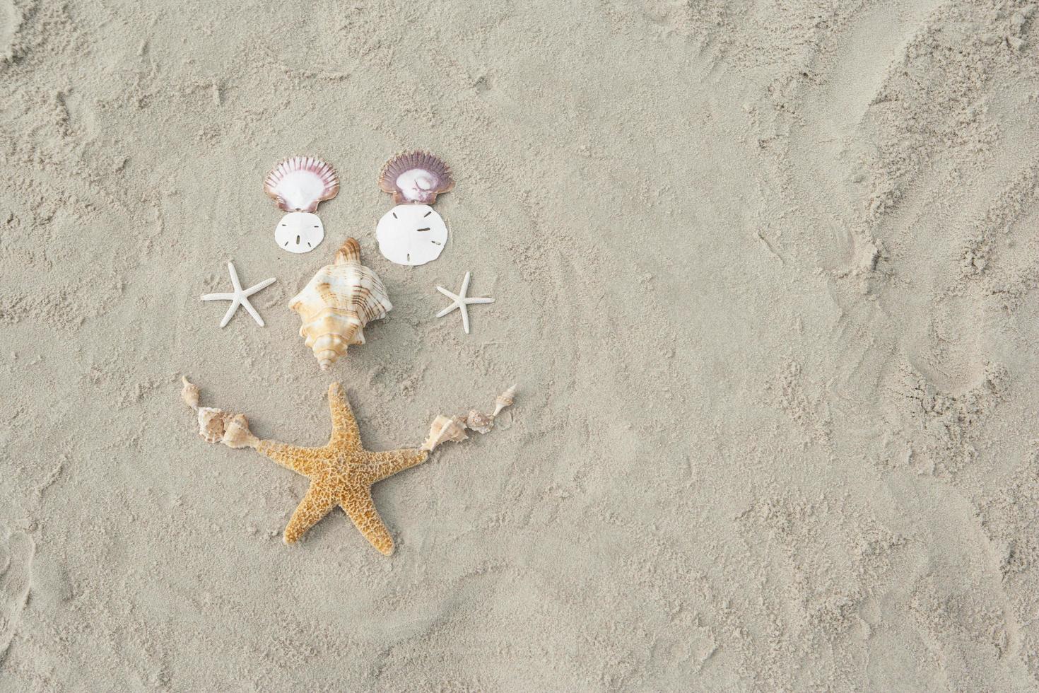 conchas y estrellas de mar en la playa. foto