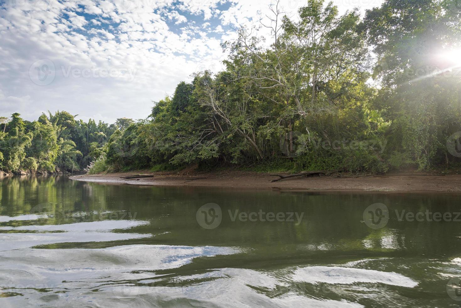The river and forest. photo