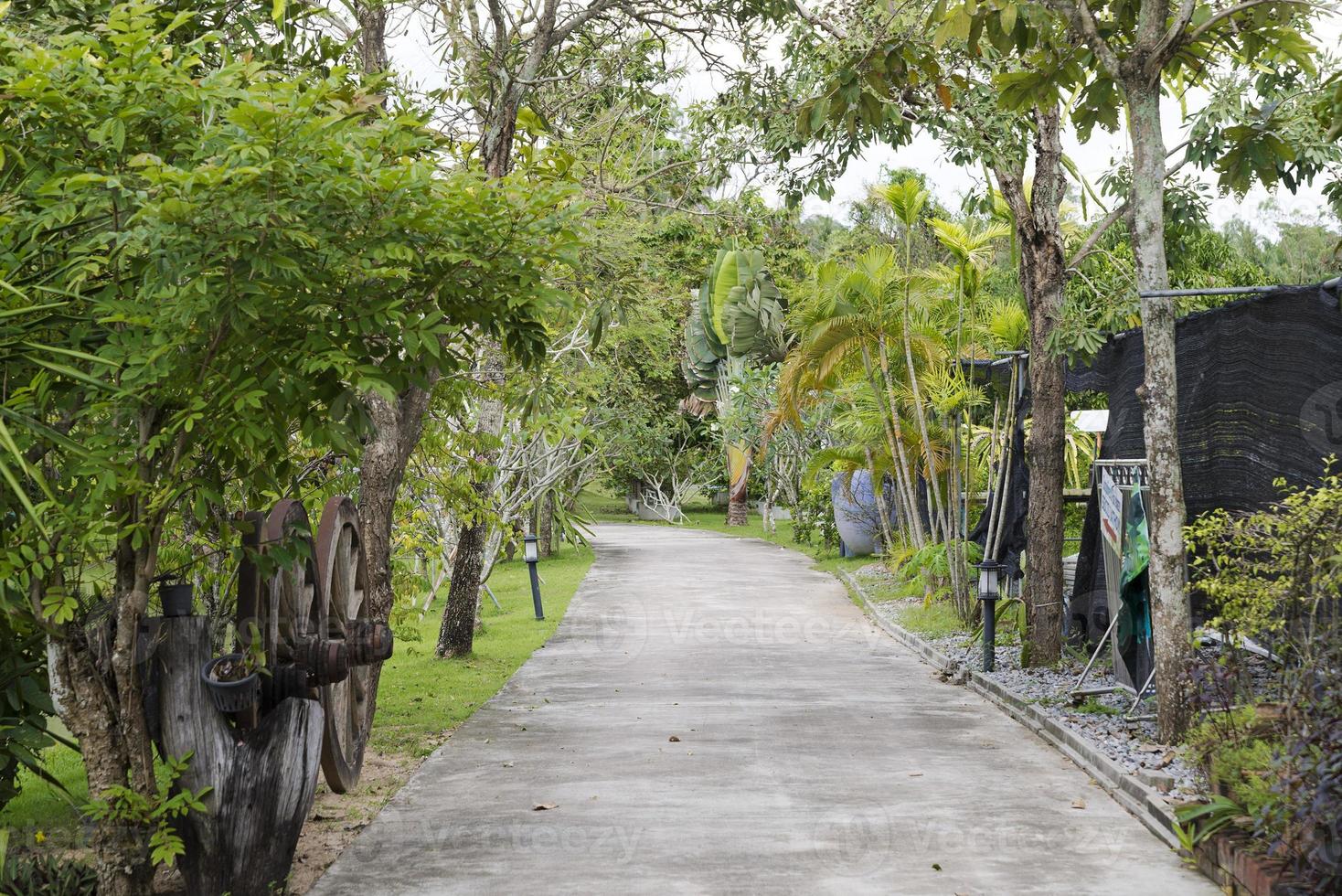 The road to the Park. photo