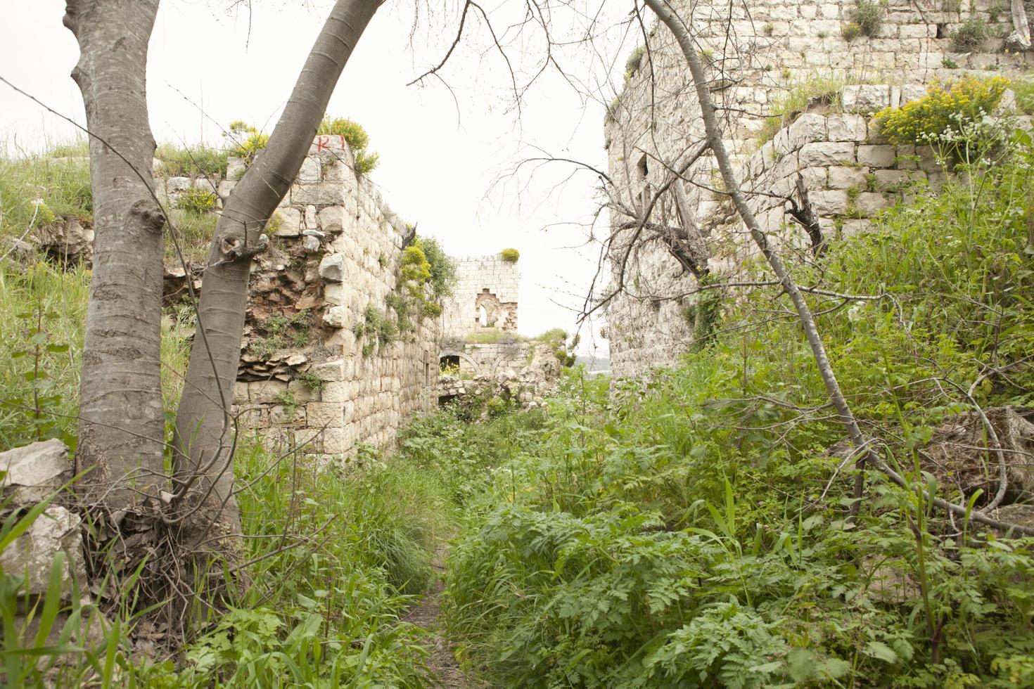 arquitectura de la ciudad de jerusalén e israel, arquitectura de la tierra santa foto