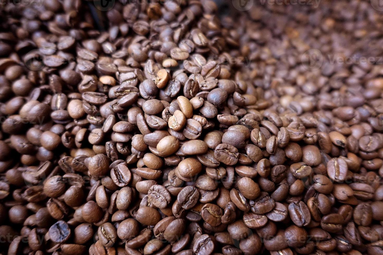 coffee beans under dramatic light photo