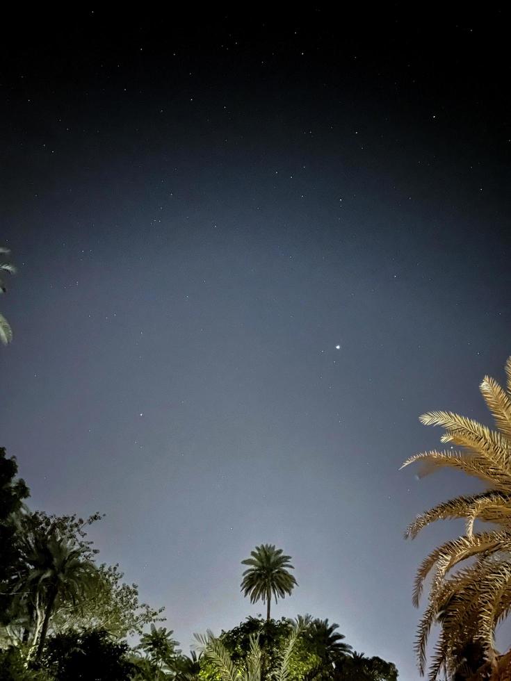 Night sky with stars and silhouette coconut palm tree on the mountain photo