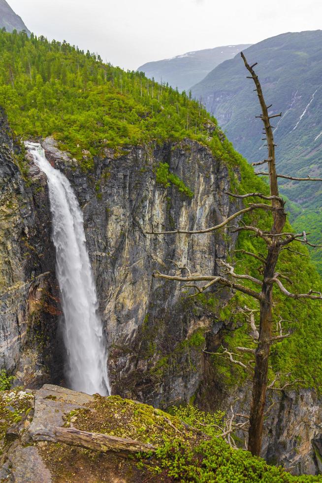 cascada de caída libre más alta vettisfossen detrás de árboles utladalen noruega paisajes noruegos. foto