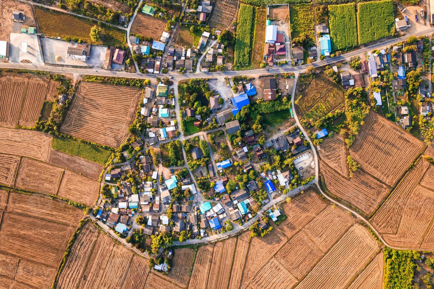 Suburban village among harvested paddy fields with thoroughfare in countryside photo