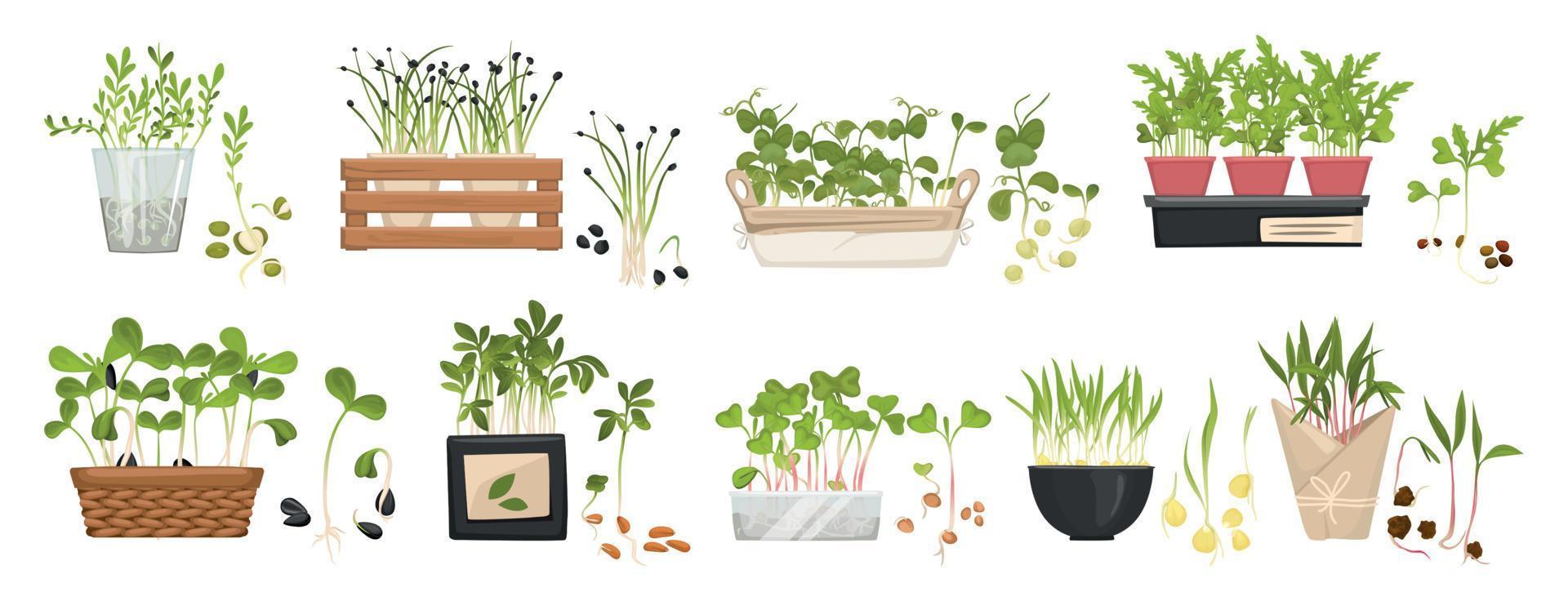 Microgreen Big Icon Set vector