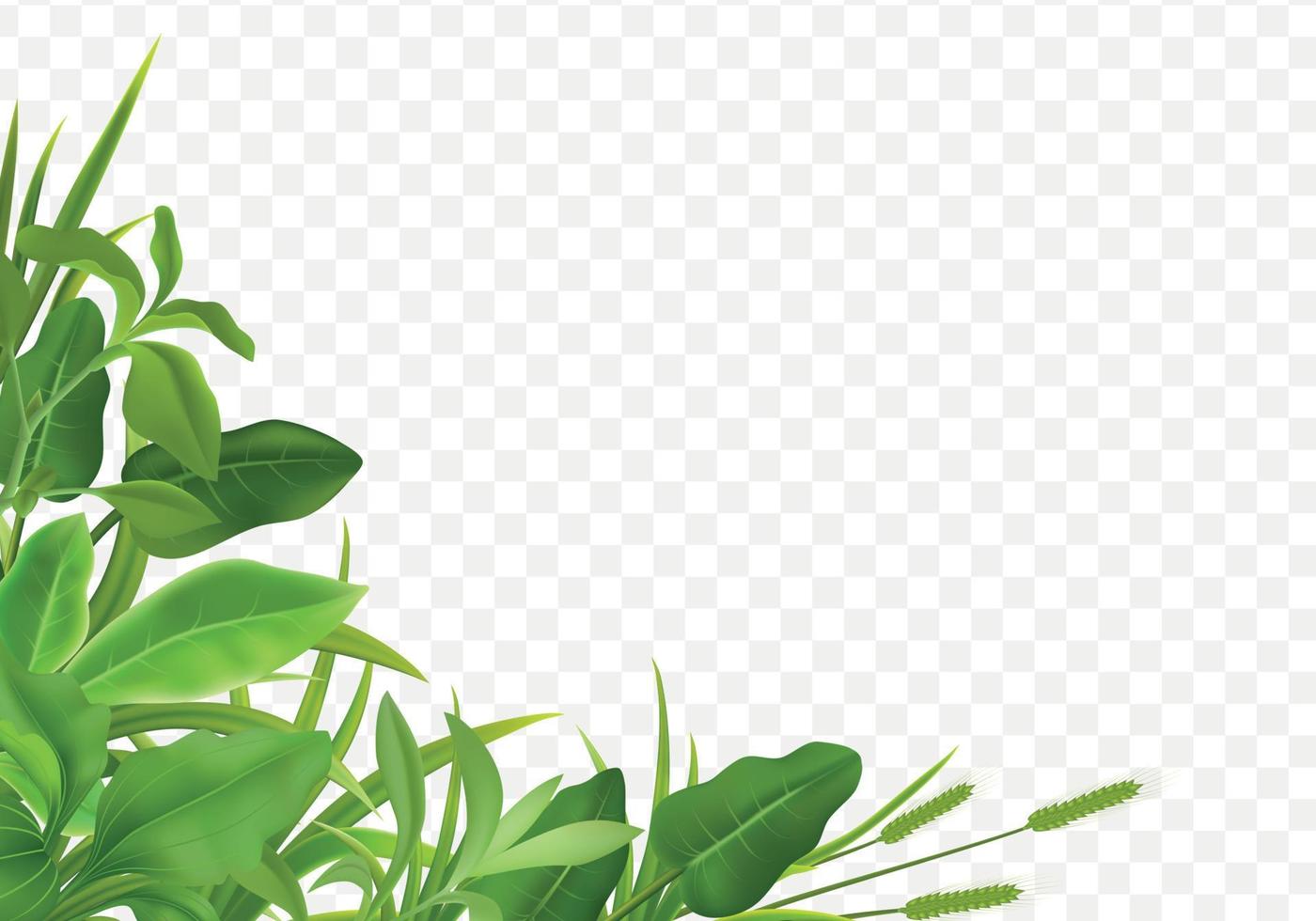 Grass Leaves Realistic Corner vector