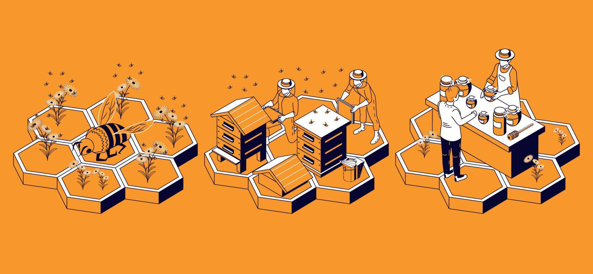 Beekeeping Honeycomb Isometric Infographics vector