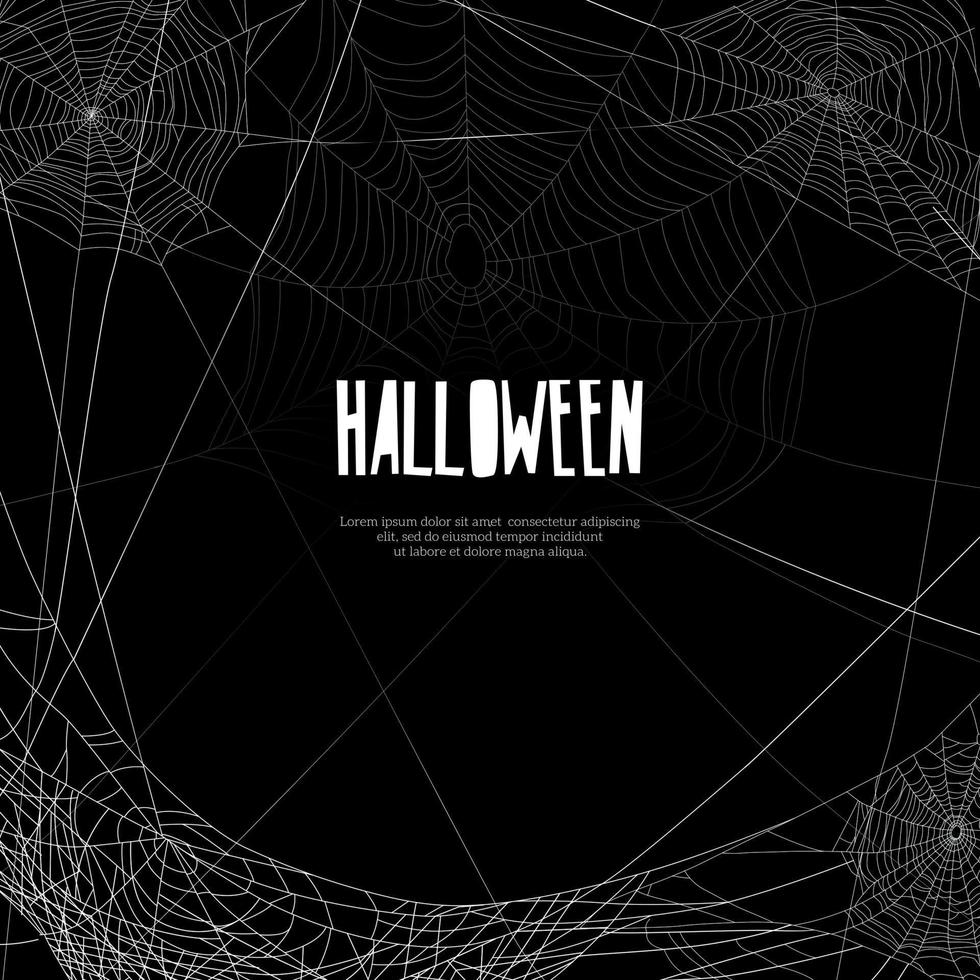 Realistic Cobweb Frame vector