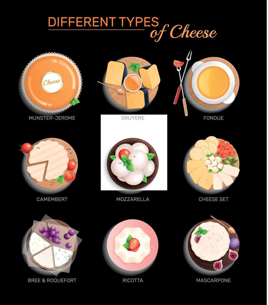 Cheese Types Flat Set vector